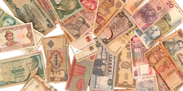 unnamed_2_-removebg---2021-09-06